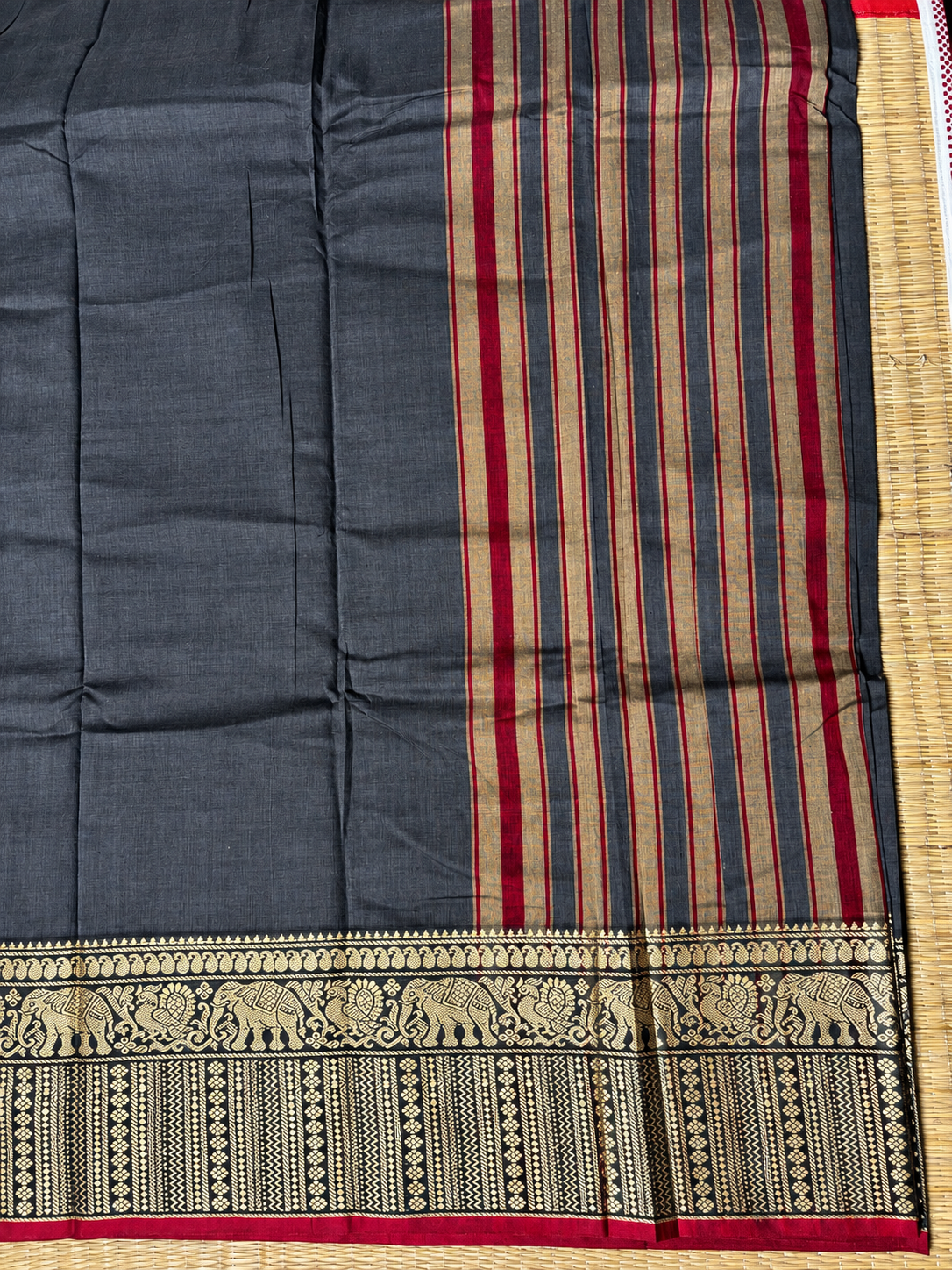 Narayanpet Cotton